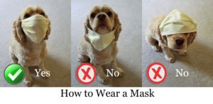 Proper Mask Wearing